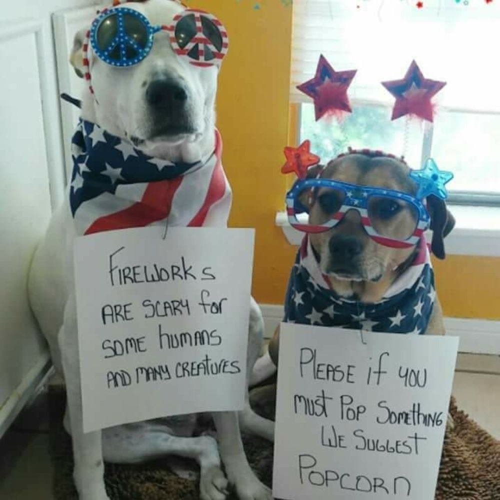 Meet your Posher, Kathleen